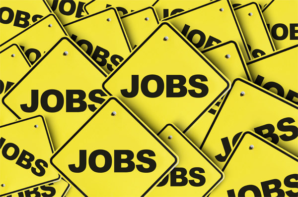employment seeking employment
